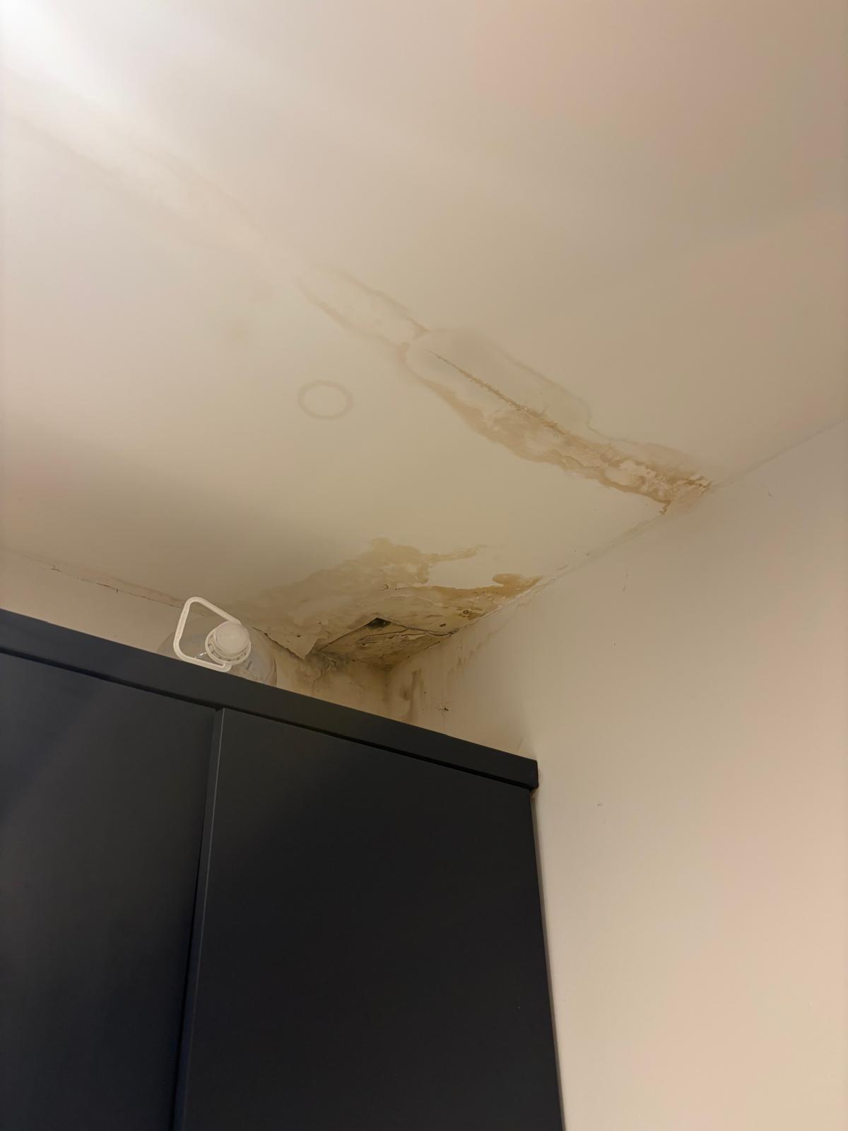 Water-damaged ceiling corner before repair, hallway